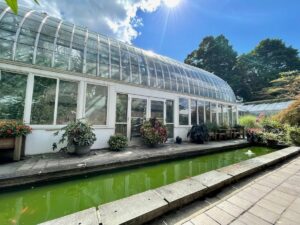 Outdoor koi pond at Lamberton Conservatory.