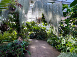 Walkway inside Lamberton Conservatory