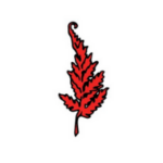 Red Fern logo leaf