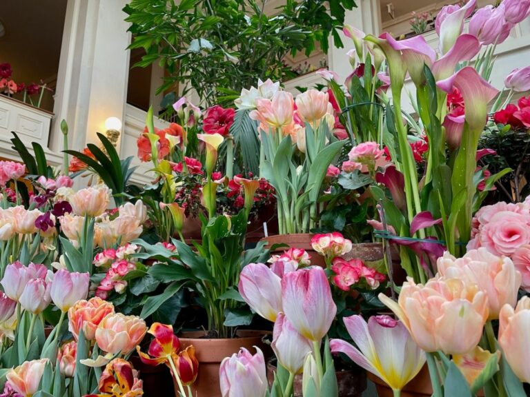 Large display of pink and peach colored flowers.