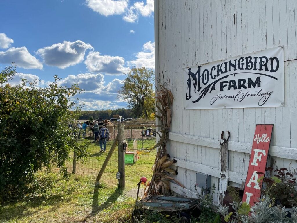 Banner of Mockingbird Farm Animal Sanctuary
