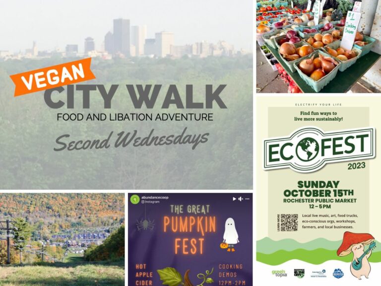 an assortment of things to do in the fall