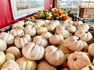 white pumpkins at Pully's Farm Market and Greenhouse