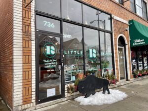 Little Salmon Shop in Buffalo NY