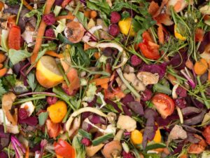 Fruit and vegetable scraps in a compost pile.