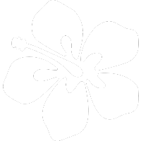 Hibiscus Flower icon
