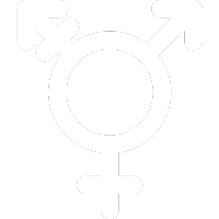 LGBTQ+ icon