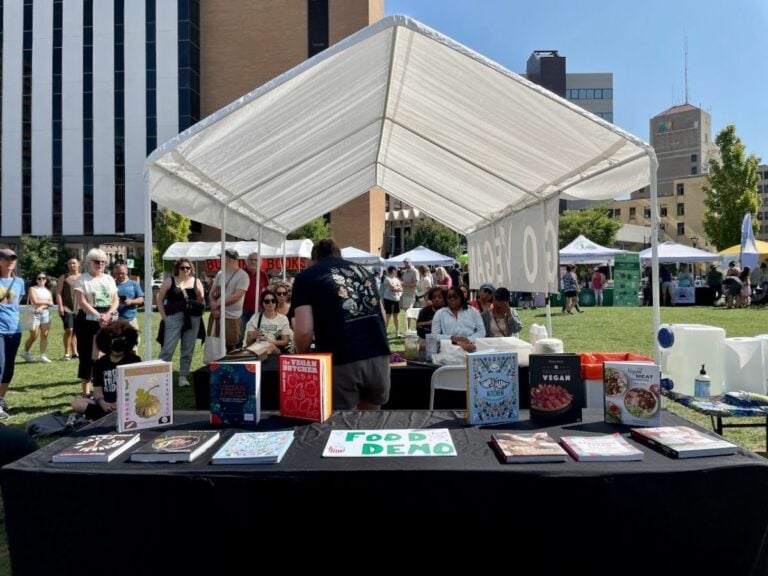 A cooking demo at the VegFest