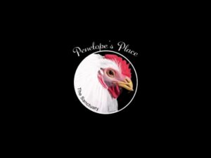 Penelope's place logo