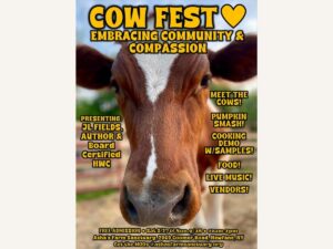 Cow Fest at Asha's Farm Sanctuary