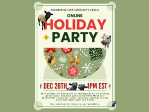 Mockingbird Farm Sanctuary Annual Online Holiday Party